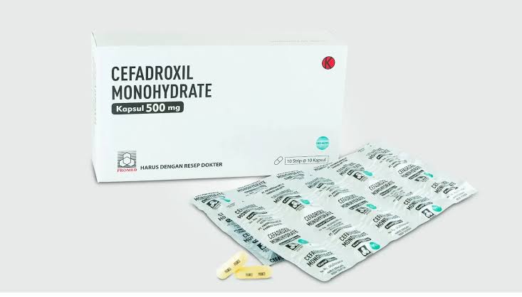 Cefadroxil